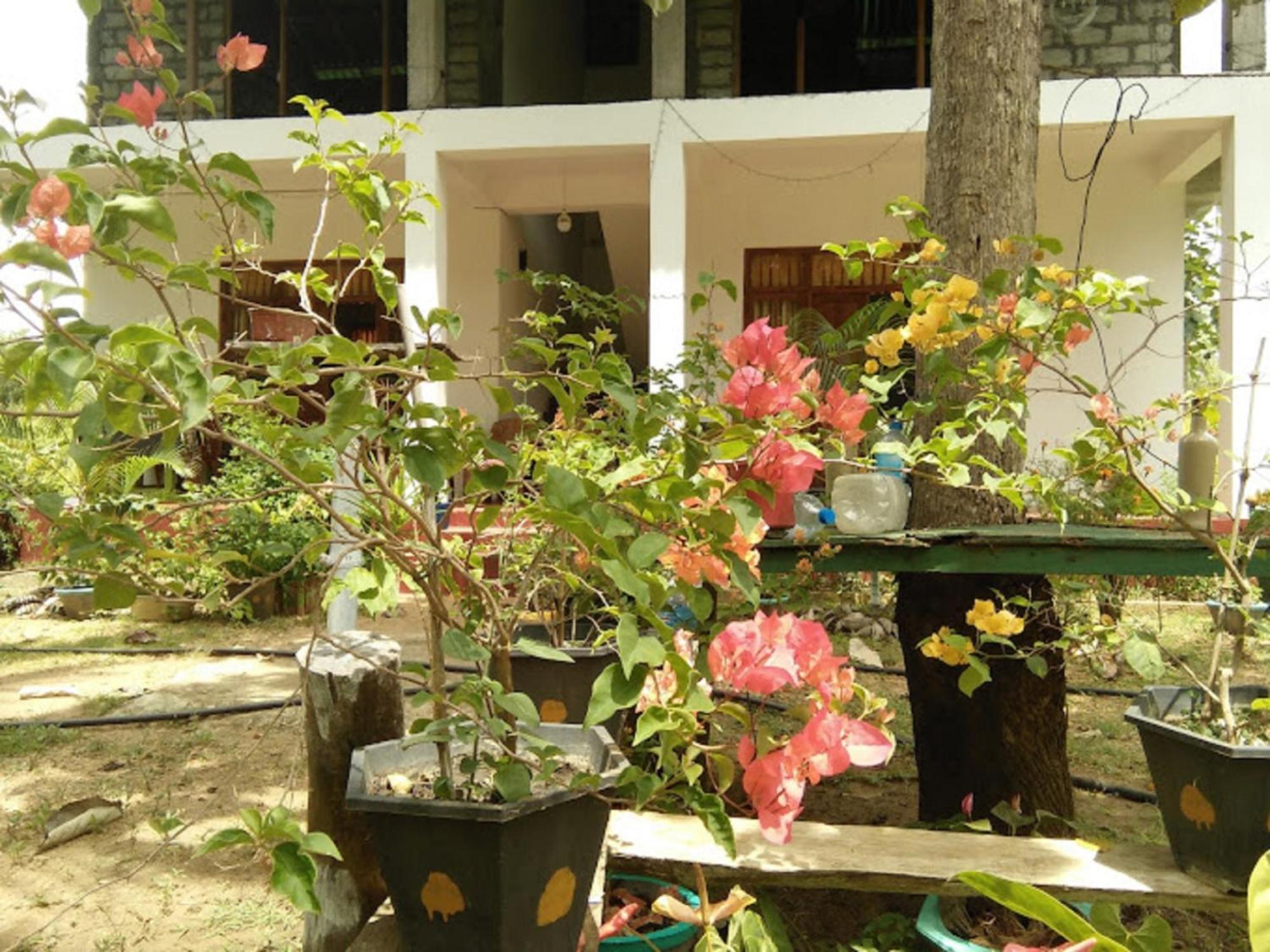 N S K Green Villa Sigiriya Luaran gambar