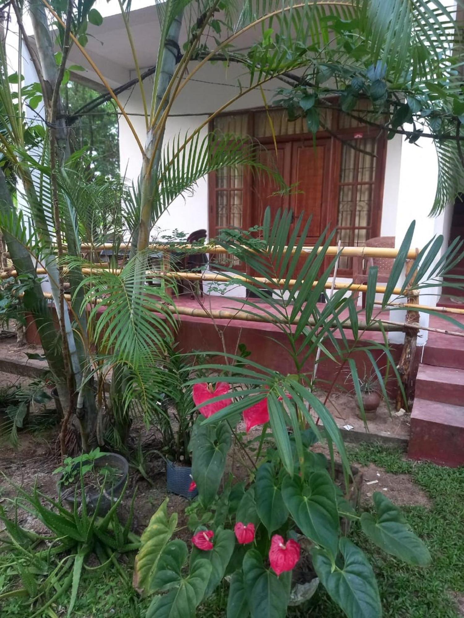 N S K Green Villa Sigiriya Luaran gambar