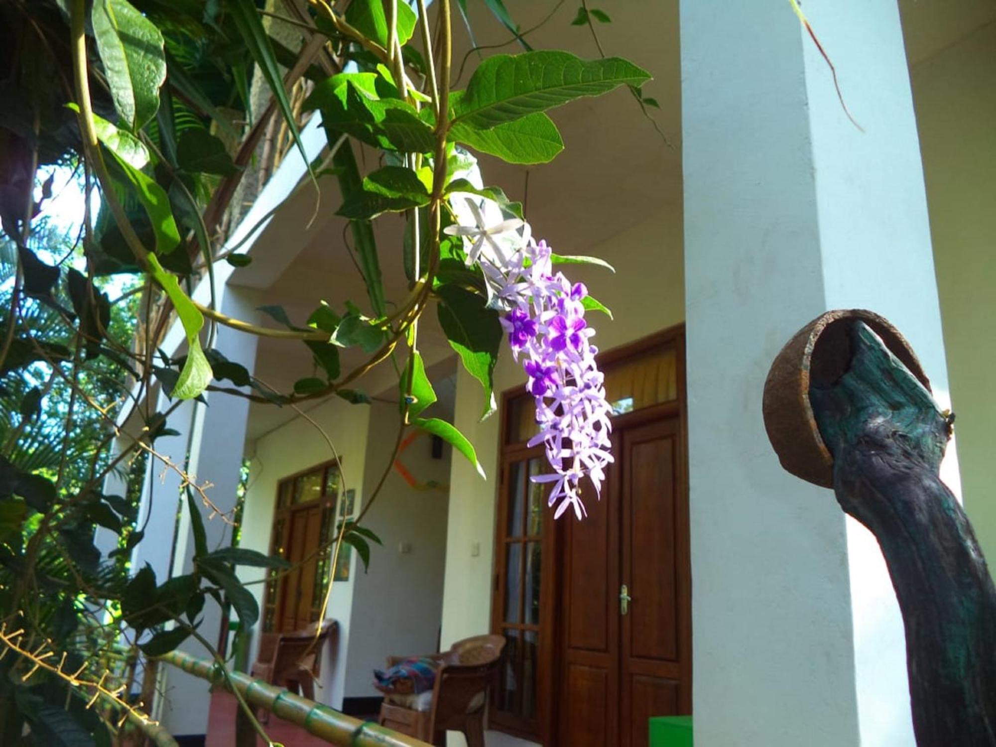 N S K Green Villa Sigiriya Luaran gambar