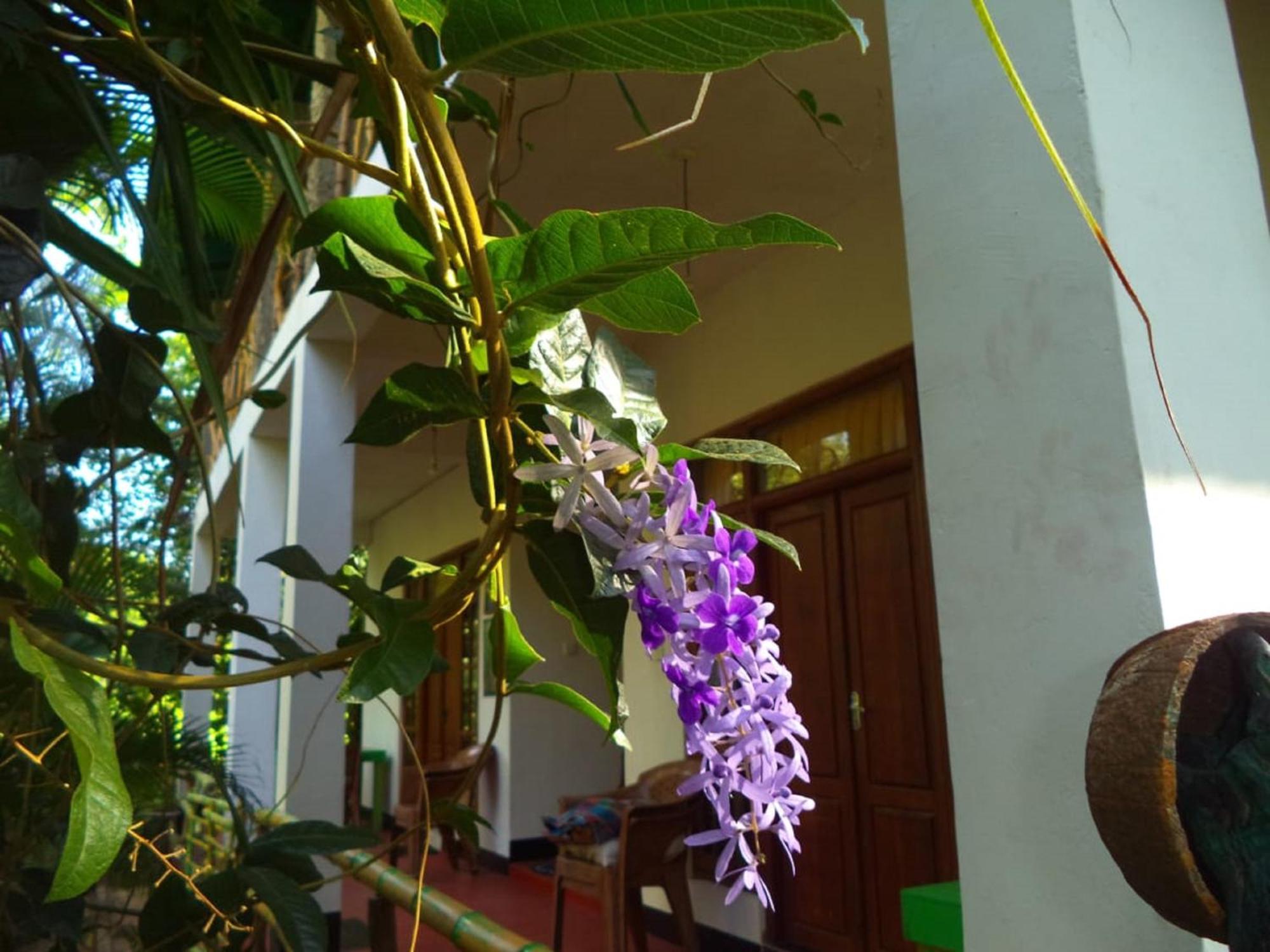 N S K Green Villa Sigiriya Luaran gambar